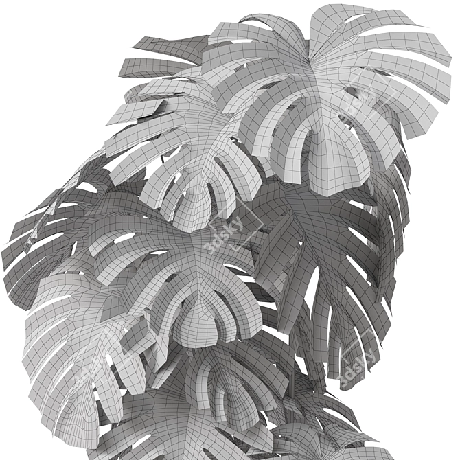 Botanical Bundle: 115k Polys 3D model image 5