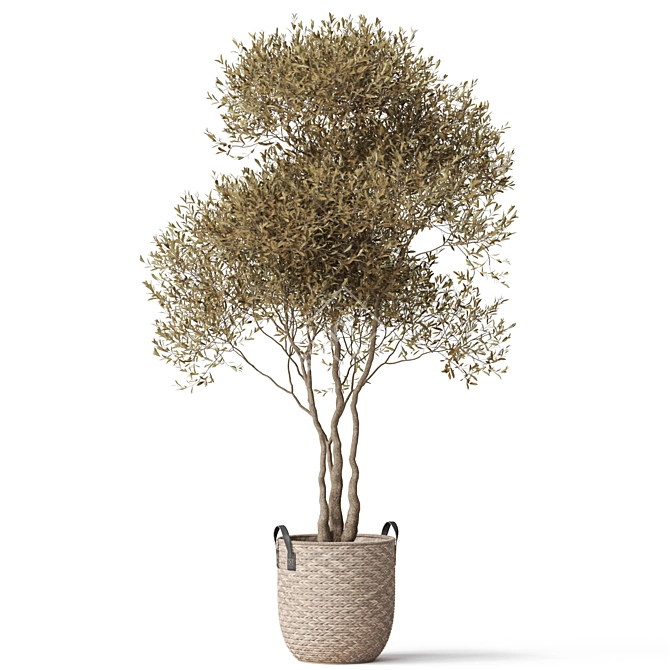 Botanical Beauty 787 Collection 3D model image 2