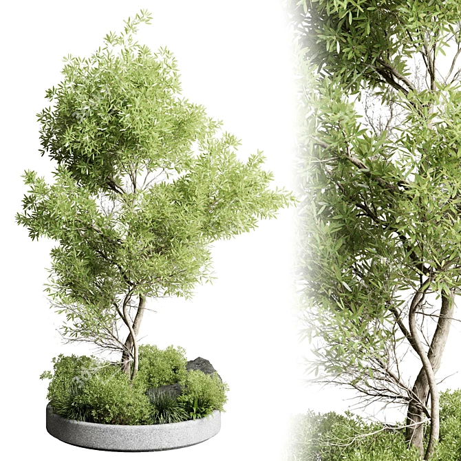 Garden Pot Plant Collection Outdoor 3D model image 1