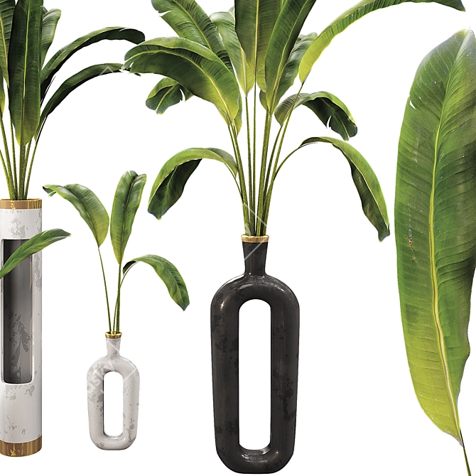 Banana Leaf Plant Vase Set 3D model image 5