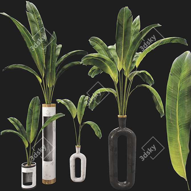 Banana Leaf Plant Vase Set 3D model image 6