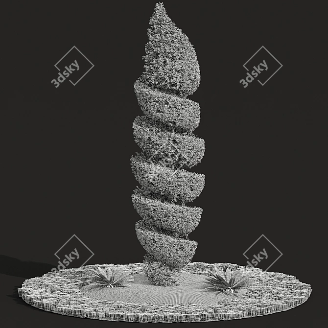 Pruned Concinna Bonsai Tree Model 3D model image 3