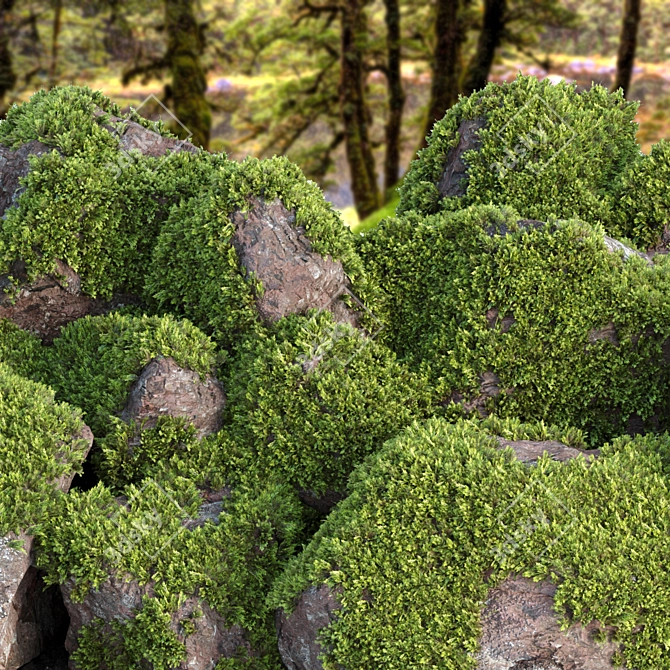 Mossy Rock Scatter Collection 3D 3D model image 9