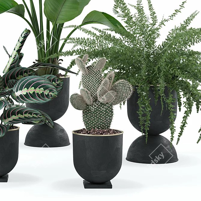 Vibrant Plant Collection Bundle 3D model image 2