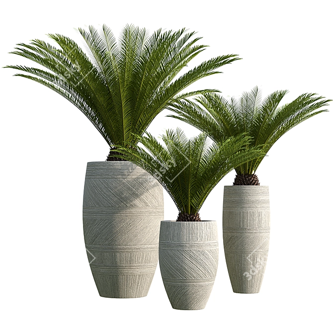 Sago Palm in Cement Planter 3D model image 1