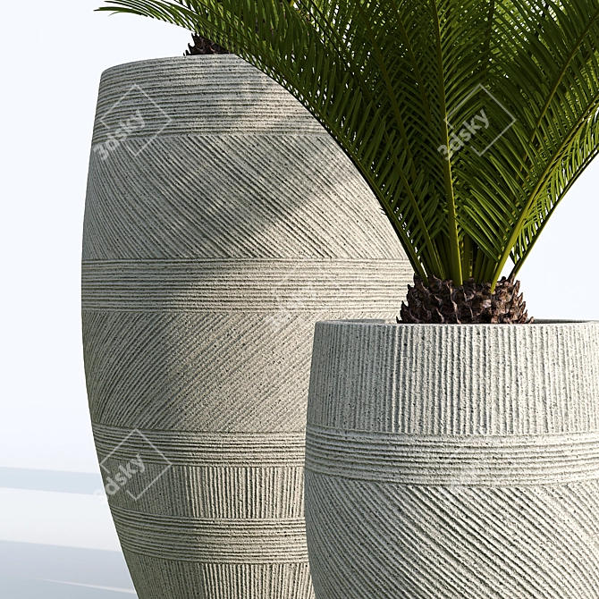 Sago Palm in Cement Planter 3D model image 2