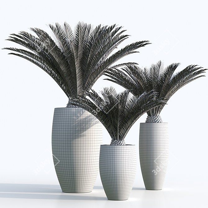 Sago Palm in Cement Planter 3D model image 4