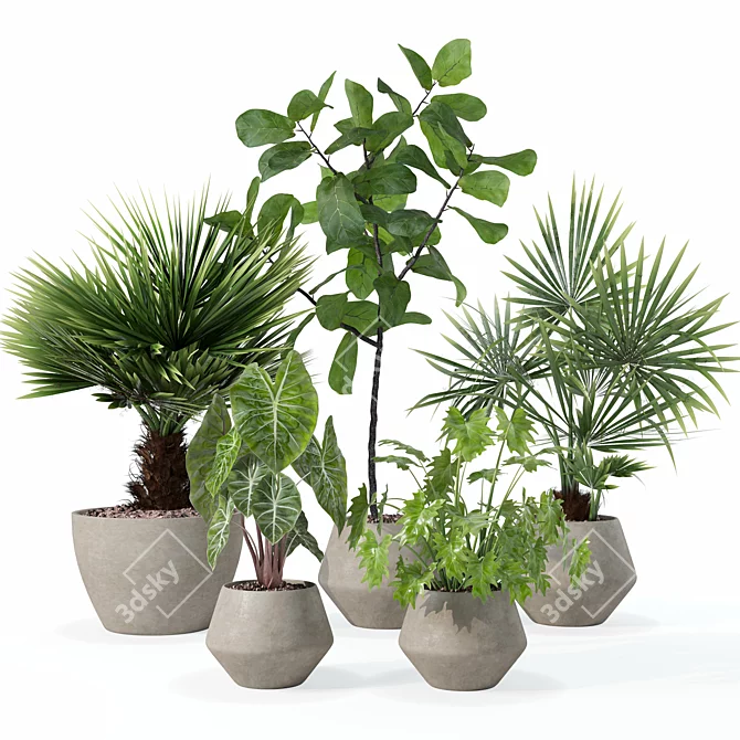 Botanical Bundle 3D Models Collection 3D model image 1