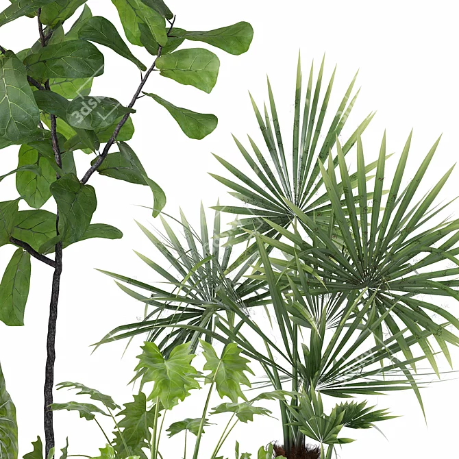 Botanical Bundle 3D Models Collection 3D model image 3