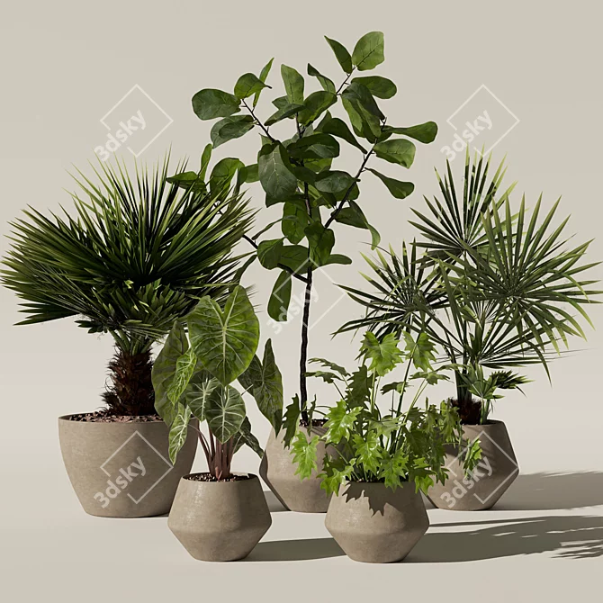 Botanical Bundle 3D Models Collection 3D model image 5