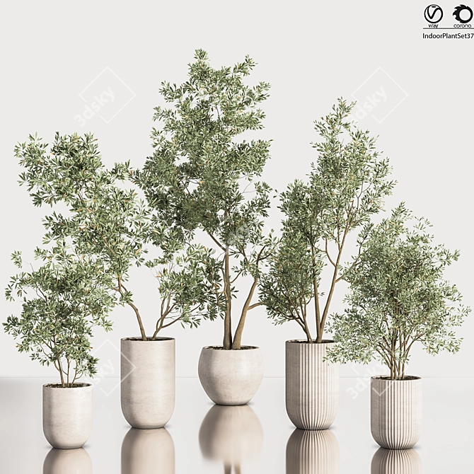 Contemporary Indoor Plant Set 3D model image 1