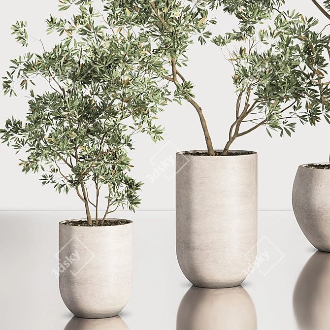 Contemporary Indoor Plant Set 3D model image 6