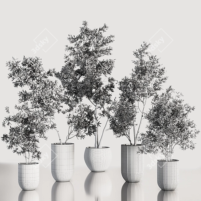 Contemporary Indoor Plant Set 3D model image 7