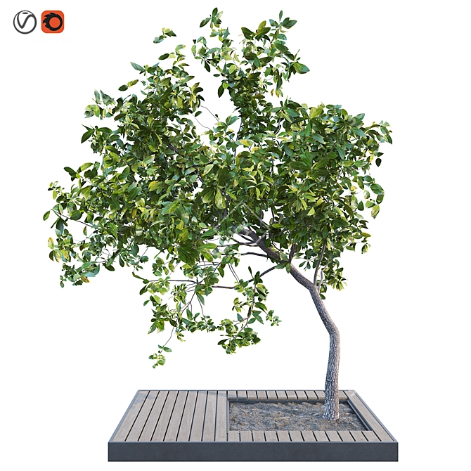 Gorgeous Outdoor Plant 3D Model 3D model image 1
