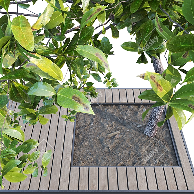 Gorgeous Outdoor Plant 3D Model 3D model image 2