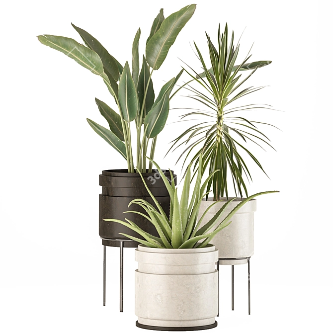 Exotic Indoor Plant Set 3D model image 1