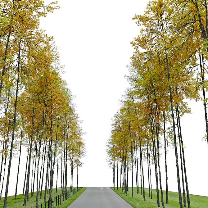 Autumn Forest Trees Collection 3D model image 3