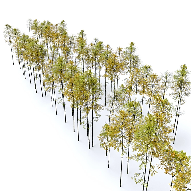 Autumn Forest Trees Collection 3D model image 6