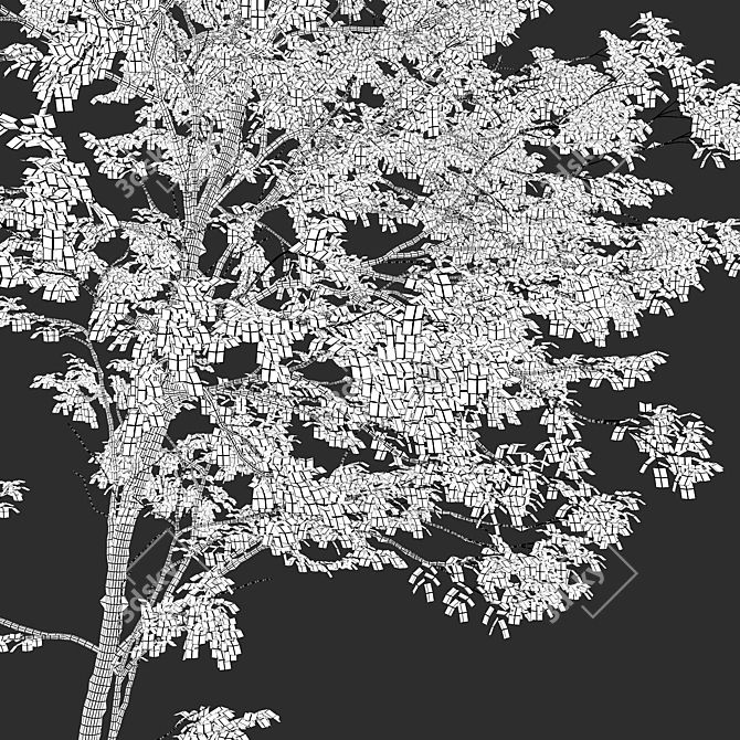 Autumn Forest Trees Collection 3D model image 7