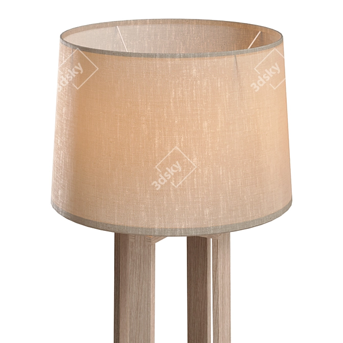 Freya Nubi FR5134-FL-01-BG PBR Floor Lamp 3D model image 4