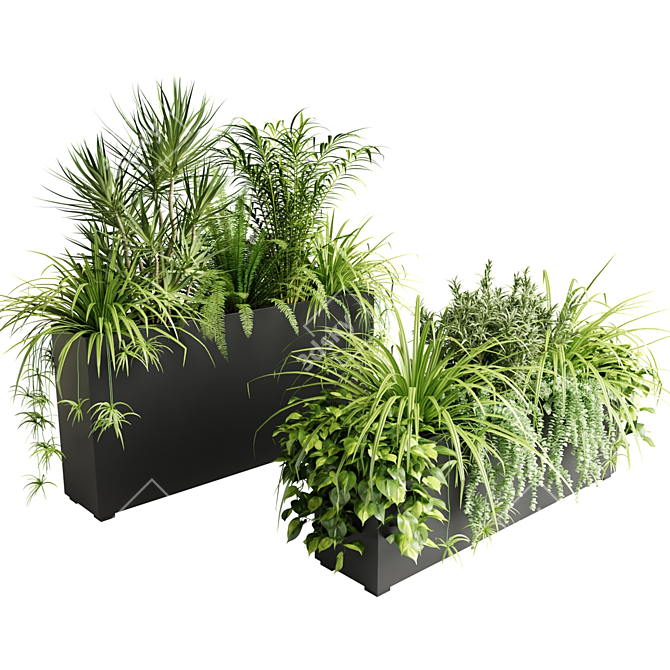 Indoor Plants in Floor Boxes 3D model image 1