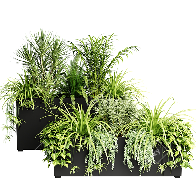 Indoor Plants in Floor Boxes 3D model image 2