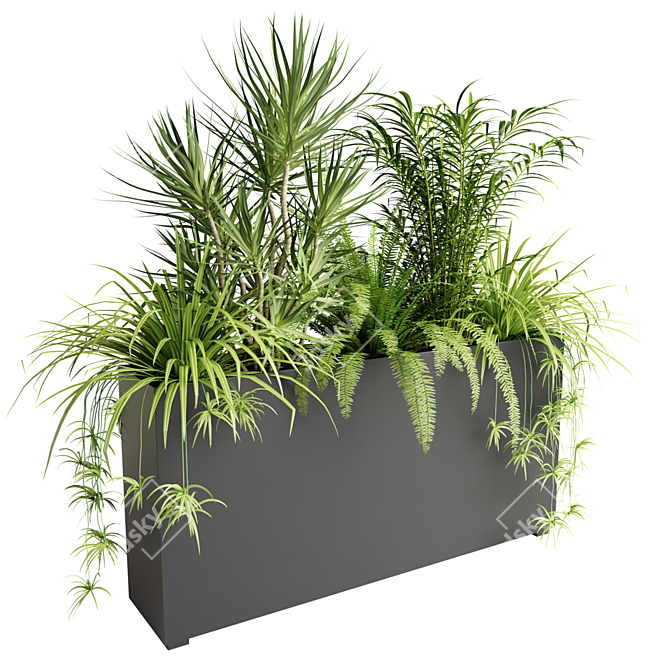 Indoor Plants in Floor Boxes 3D model image 3