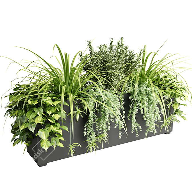 Indoor Plants in Floor Boxes 3D model image 4