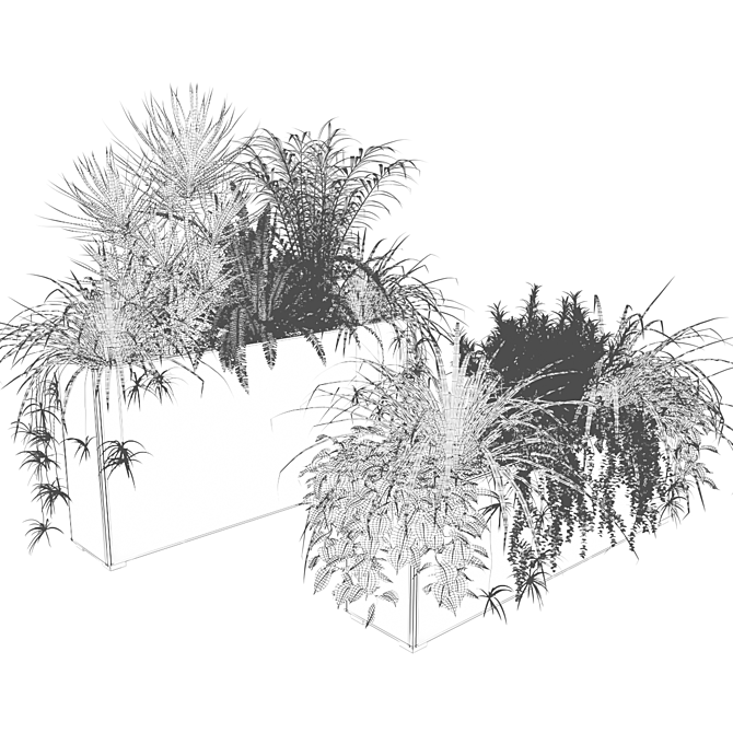 Indoor Plants in Floor Boxes 3D model image 5