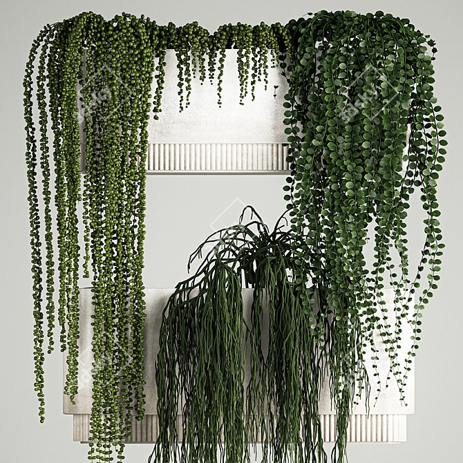 Rhipsalis & Succulent Hanging Wall Garden 3D model image 2