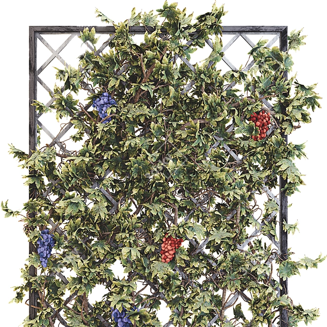 Grape Tree Flower Box 01 - 3D Model Kit 3D model image 2
