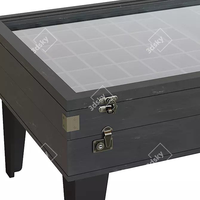 Vintage Collector Black Coffee Table 3D model image 2