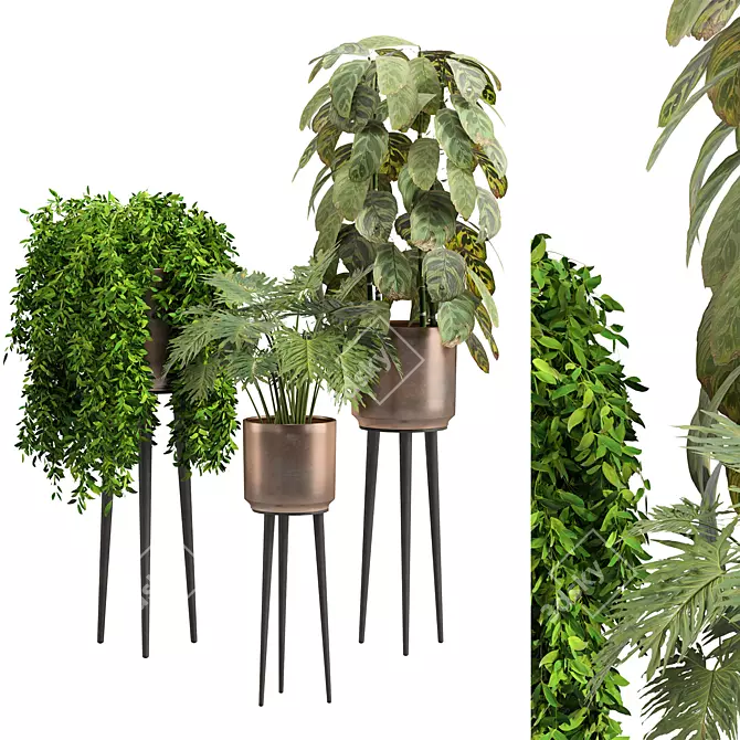 Modern Tropical Indoor Plant 3D model image 1