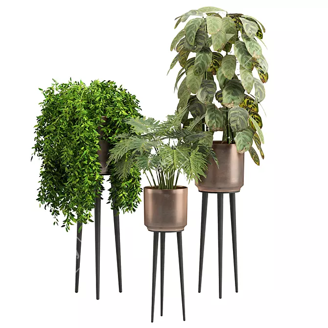 Modern Tropical Indoor Plant 3D model image 2