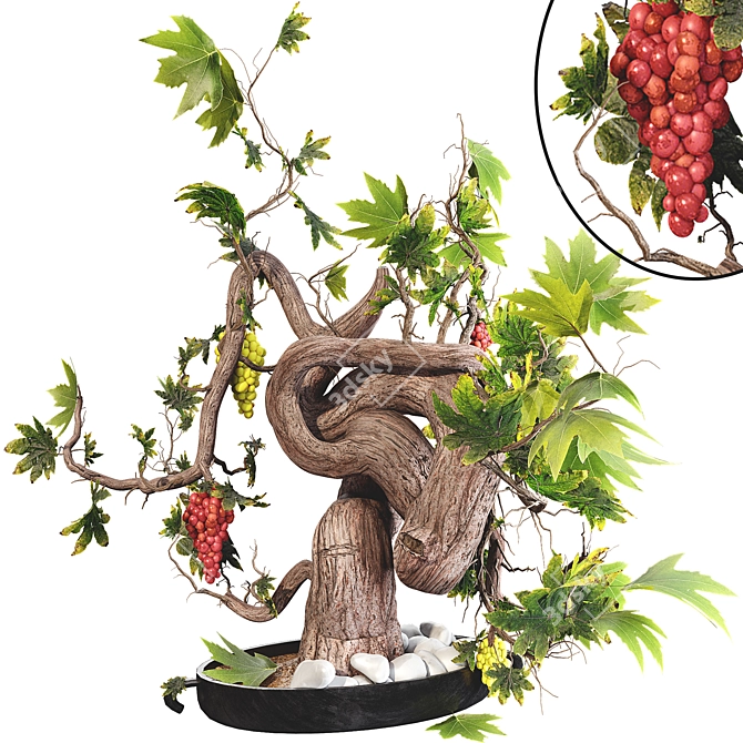 Grape Bonsai 3D Model Kit 3D model image 1