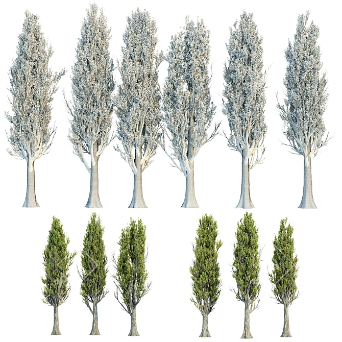 PBR Poplar Trees Collection Vol.145 3D model image 6