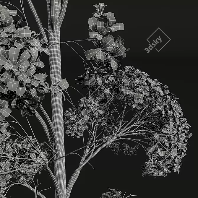 Aspen Populus Tremuloides 3D Trees 3D model image 5