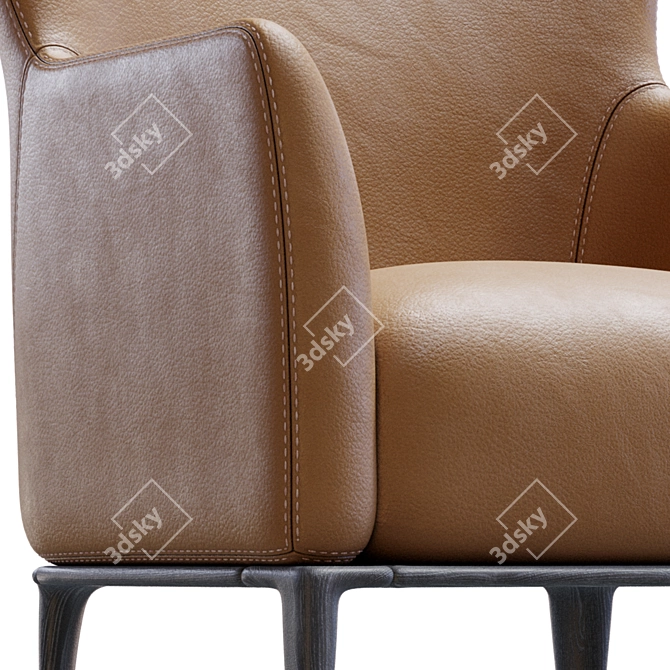 Elegant Relax Chair by Poliform 3D model image 3
