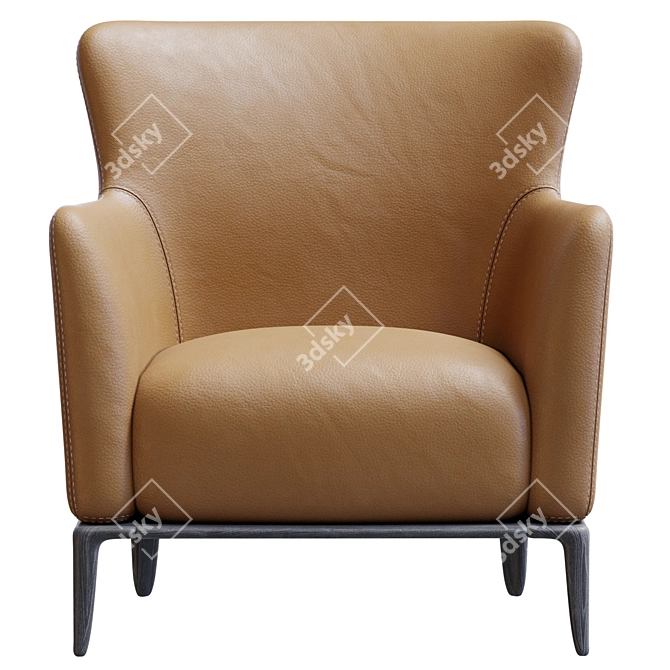 Elegant Relax Chair by Poliform 3D model image 6