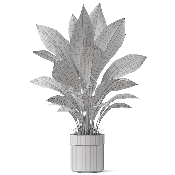 Exquisite Plants Collection 835 3D model image 3