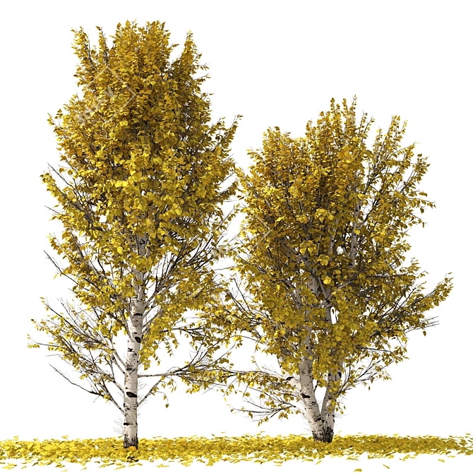 Autumn Birch Tree 3D Model 3D model image 1