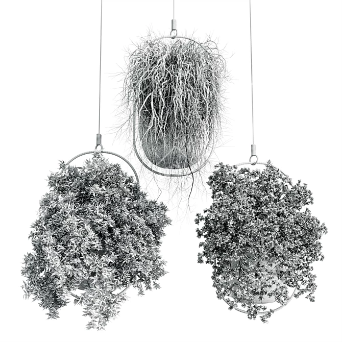 Modern Hanging Plant for Indoor Spaces 3D model image 6