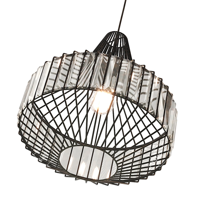 Steel Grid Glass Pendant Light 3D model image 3