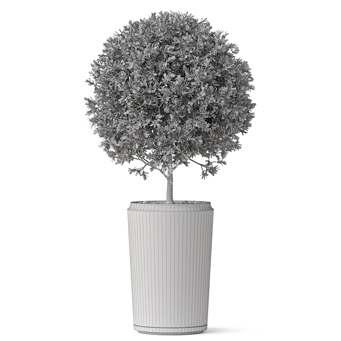 Large-scale Plant Collection 845 3D model image 3
