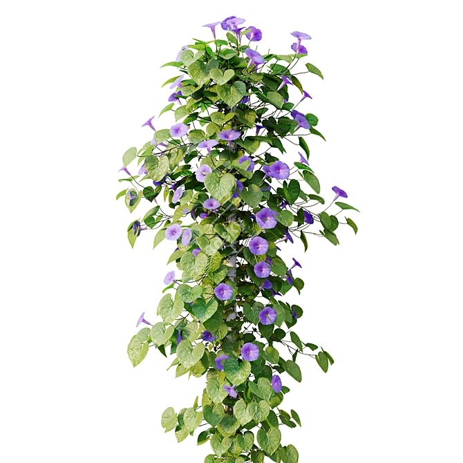 Blue Morning Glory 3D Model 3D model image 6