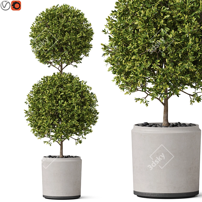Botanical Assortment 849 Set 3D model image 1