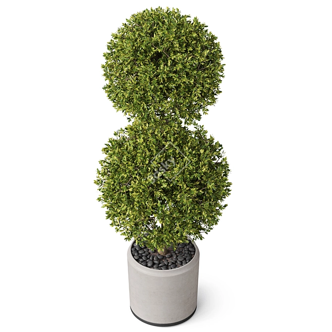 Botanical Assortment 849 Set 3D model image 2