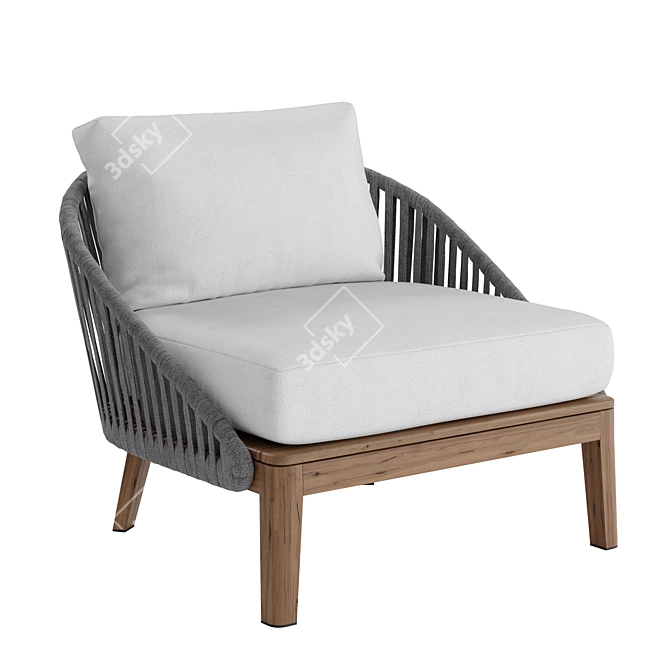 Teak & Tricord Lounge Chair 3D model image 1