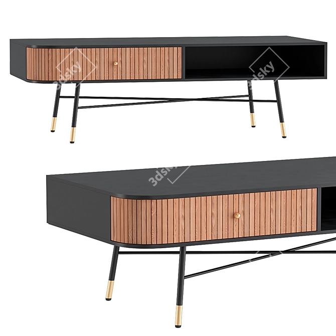 Modern Aster Coffee Table with Storage 3D model image 1