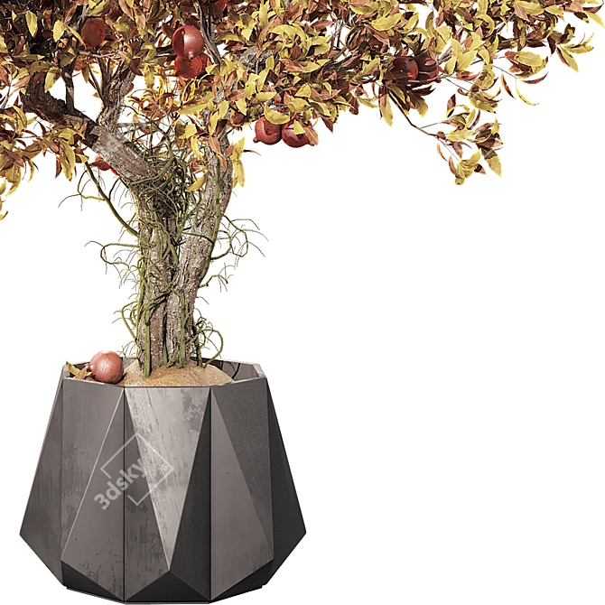 Autumn Pomegranate Tree Scene 3D model image 4